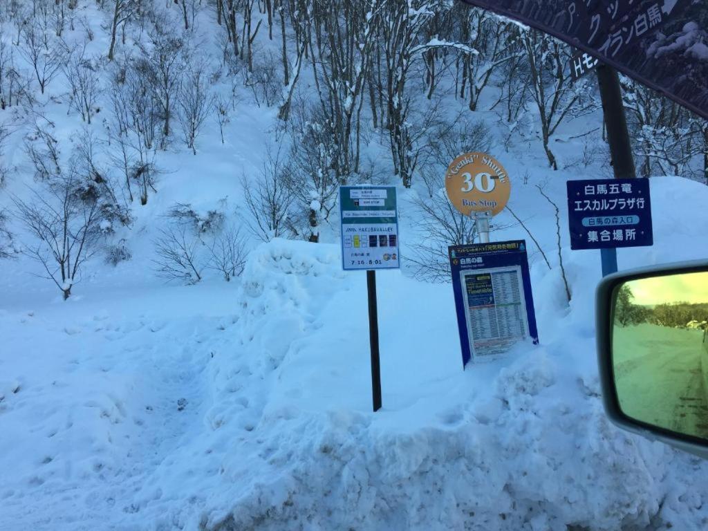 Hakuba Park Hotel المظهر الخارجي الصورة